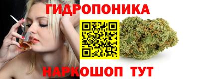 ГАЛЛЮЦИНОГЕННЫЕ ГРИБЫ Гусев