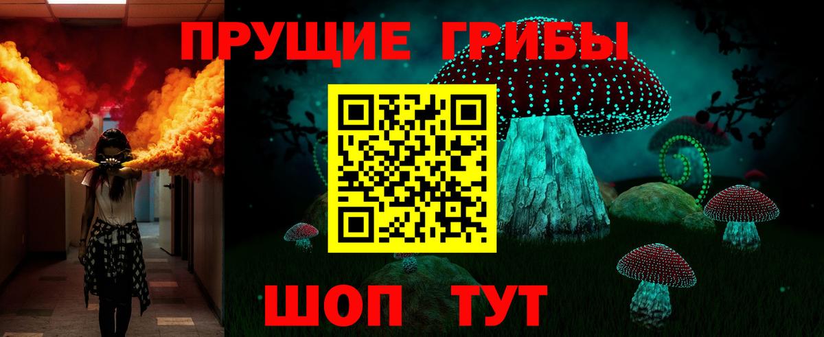 Псилоцибиновые грибы Psilocybine cubensis Надым